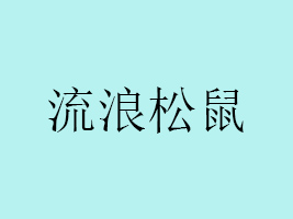 河南省流浪松鼠食品有限公司