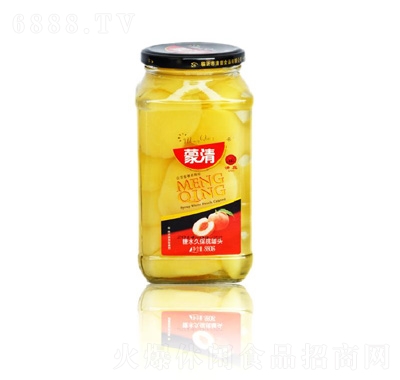 ˮҹ^880g