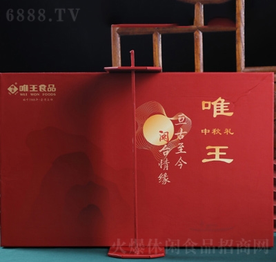 Ψ}_(ti)龉S